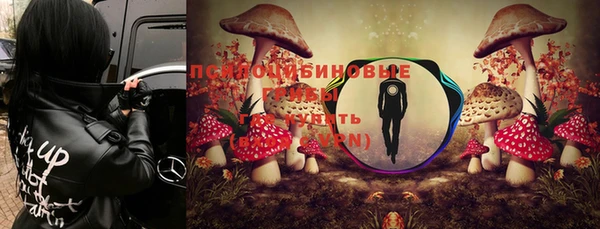 СК Алзамай